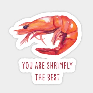 You are shrimply the best Sticker